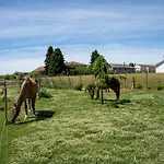Dei Cavalli Holiday home *