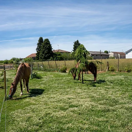 Dei Cavalli Casa vacanze *